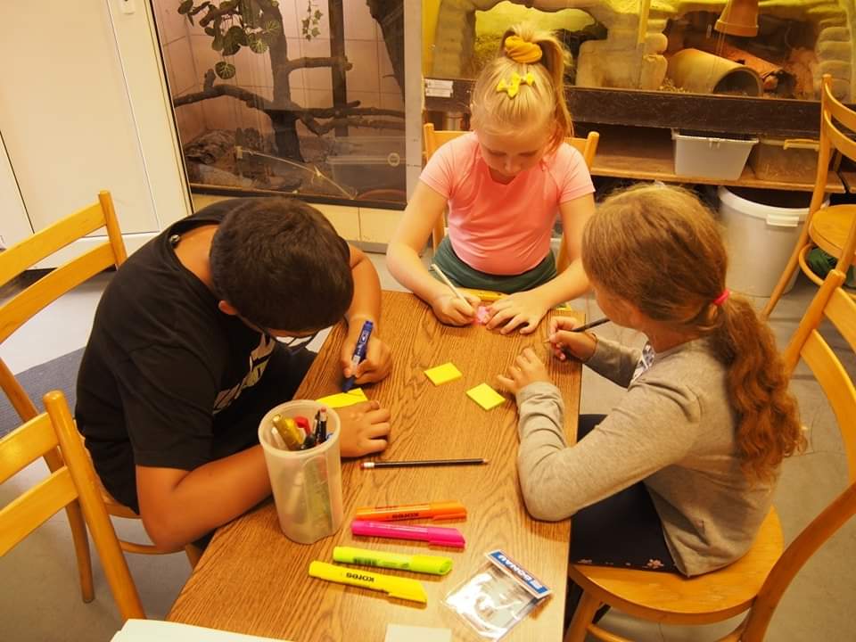 FB_IMG_1670096262311