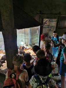 img_20240812_132746.jpg